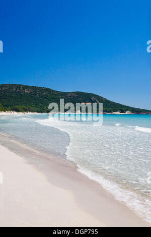 La plage de Palombaggia, Corse, France, Europe Banque D'Images