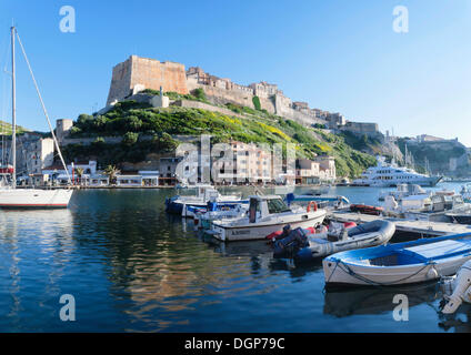 Port et citadelle, Bonifacio, le détroit de Bonifacio, Corse, France, Europe Banque D'Images