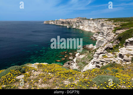 Côte rocheuse avec vue de Bonifacio, le détroit de Bonifacio, Corse, France, Europe Banque D'Images