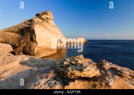 Capo Pertusato, le détroit de Bonifacio, Corse du Sud, Corse, France, Europe Banque D'Images