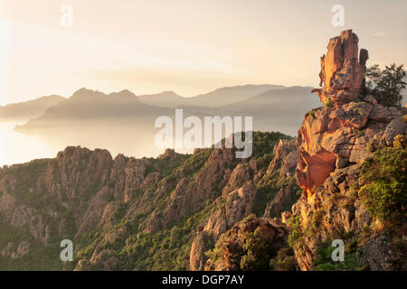 Les Calanques, paysage rocheux, Golfe de Porto, Corse, France, Europe Banque D'Images