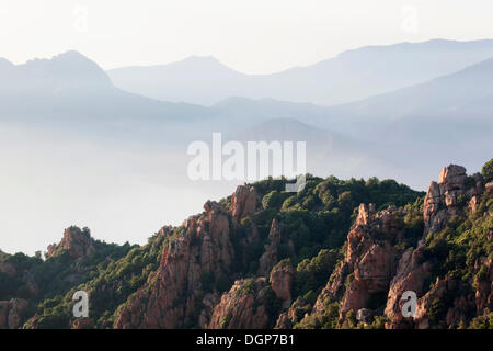 Les Calanques, paysage rocheux, Golfe de Porto, Corse, France, Europe Banque D'Images