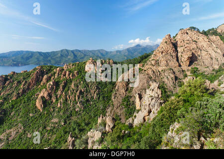 Les Calanques, paysage rocheux, Golfe de Porto, Corse, France, Europe Banque D'Images