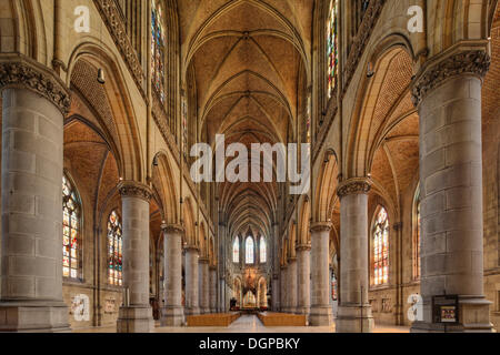 Nouvelle Cathédrale ou la Cathédrale de l'Immaculée Conception, Linz, Haute Autriche, Autriche, Europe Banque D'Images