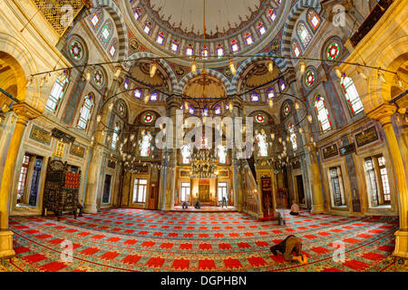 Tulipes Laleli Camii, mosquée, centre-ville historique, Laleli, Istanbul, côté européen, Istanbul, Turquie, Province du côté européen Banque D'Images