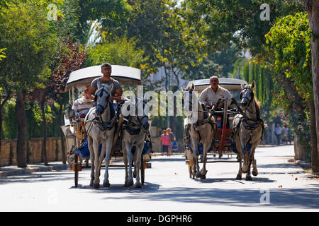 Des calèches, Büyükada, les îles du Prince, Istanbul, rive asiatique, Istanbul, Turquie Province Banque D'Images