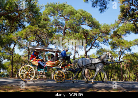 Calèche, Büyükada, les îles du Prince, Istanbul, rive asiatique, Istanbul, Turquie Province Banque D'Images