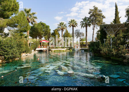 L'ancienne piscine, piscine thermale de Pamukkale, vestiges de l'ancienne ville de Hiérapolis, Pamukkale, Hiérapolis, près de la province de Denizli Banque D'Images