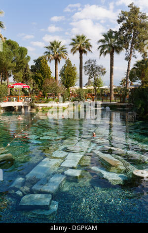 L'ancienne piscine, piscine thermale de Pamukkale, vestiges de l'ancienne ville de Hiérapolis, Pamukkale, Hiérapolis, près de la province de Denizli Banque D'Images