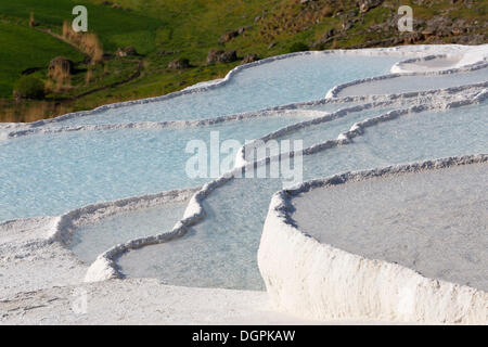 Terrasses en travertin à Pamukkale, Pamukkale, province de Denizli, Région de l'Egée, la Turquie Banque D'Images