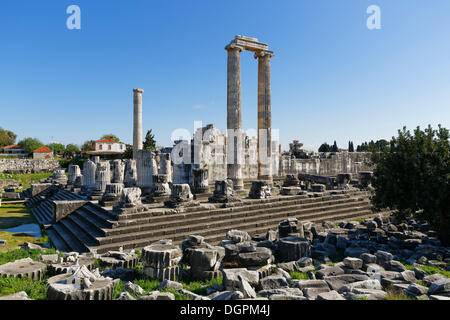 Didymaion Temple dans la ville antique de Didymes, Didim Aydin, province, région de l'Egée, la Turquie Banque D'Images