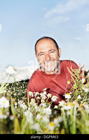 Homme assis dans une prairie en fleurs Banque D'Images