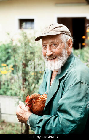 Farmer holding un poulet (Gallus gallus domesticus), Autriche, Europe Banque D'Images