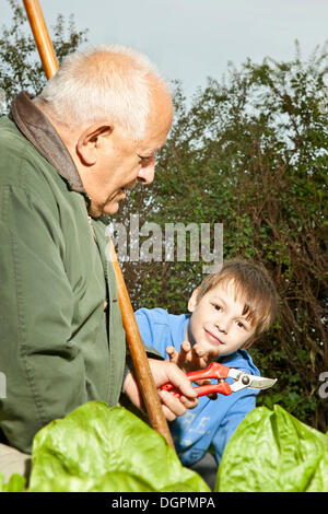 Un homme âgé et un garçon travaillant dans le jardin Banque D'Images
