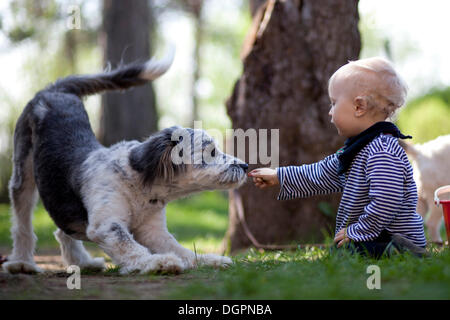 Enfant assis sur le sol avec un chien bâtard dans le jardin Banque D'Images