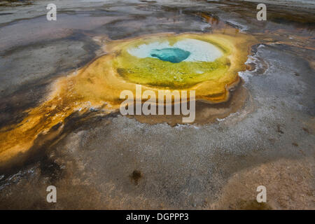 Old Faithful Geyser, salon, Parc National de Yellowstone, Wyoming, USA Banque D'Images