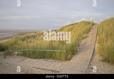 Les dunes le long de la mer du Nord allemande Banque D'Images