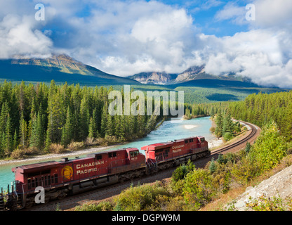 Train de marchandises du Canadien Pacifique voyageant autour de la Courbe Morant Bow Valley Parkway Banff National Park Alberta Rockies AB Canada Banque D'Images