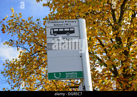 Signe l'arrêt de bus à l'extérieur de l'école primaire, Cranbourne Cranbourne, Berkshire, Angleterre, Royaume-Uni Banque D'Images