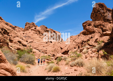 Les promeneurs sur le sentier du réservoir de la souris, la Vallée de Feu State Park, au nord de Las Vegas, Nevada, USA Banque D'Images