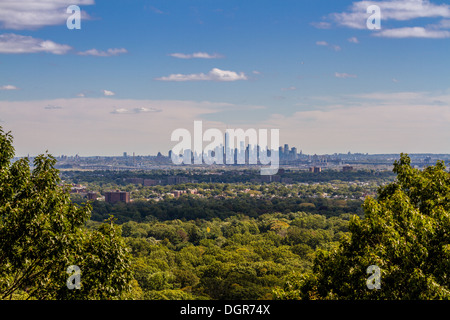 Vue sur Manhattan inférieur de la distance, à la recherche comme une île dans les forêts du New Jersey Banque D'Images