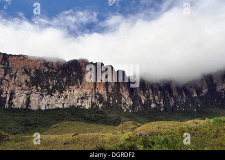 Face raide du Roraima table mountain entourée de nuages, montagne la plus haute du brésil, région des trois frontières Brésil, Venezuela Banque D'Images