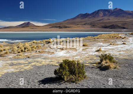 Lagon de l'altiplano, haut plateau, frontière entre le Chili et la Bolivie, en Amérique du Sud Banque D'Images