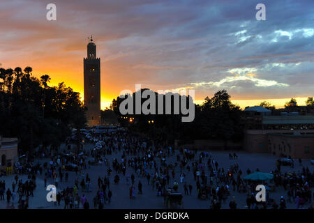 Mosquée koutoubiya au coucher du soleil, la place Jemaa el-fnaa au premier plan, Marrakech, Maroc, afrique Banque D'Images