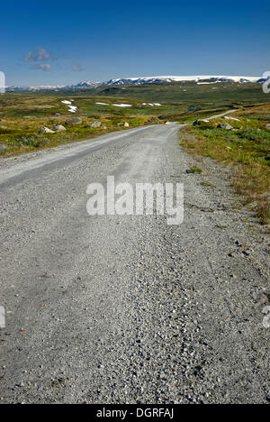 Route de gravier sur Hardangervidda, Fylke Hordaland, Plateaufjell et l'haut plateau, Norvège, Europe Banque D'Images