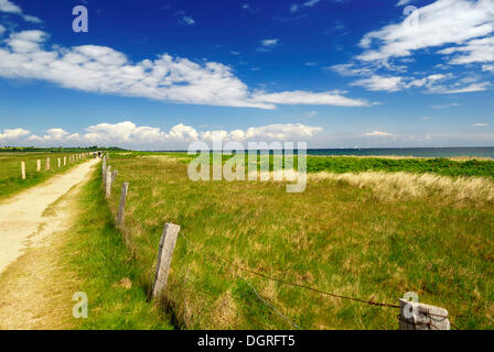 Dunes dans le schwansener naturschutzgebiet voir nature reserve, Kreis rendsburg-eckernfoerde, comté de Schleswig-Holstein Banque D'Images