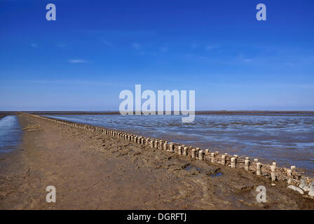 Vue sur la mer des Wadden avec la protection des côtes, épis, halligen, petites îles, à l'arrière, côte de la mer du Nord Banque D'Images