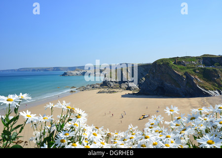 Tolcarne Beach, Newquay, Cornwall, Angleterre, Royaume-Uni Banque D'Images