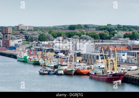 Port de Ijmuiden avec la location de bateaux de pêche ou les chalutiers et les remorqueurs, Hollande du Nord, les Pays-Bas, Europe Banque D'Images