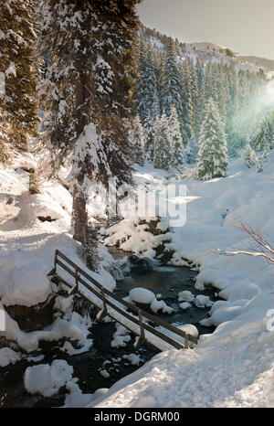 La forêt couverte de neige et d'un pont, l'Autriche, Europe Banque D'Images