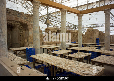 Maison de pente 2, site archéologique antique, la restauration, Ephèse, la FEAS, province d'Izmir, Turquie, Asie Banque D'Images