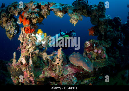 Scuba Diver à l'épave du "Kyokuzan Maru', cargo japonais coulé en 1944, Malawig, Coron, Philippines Banque D'Images