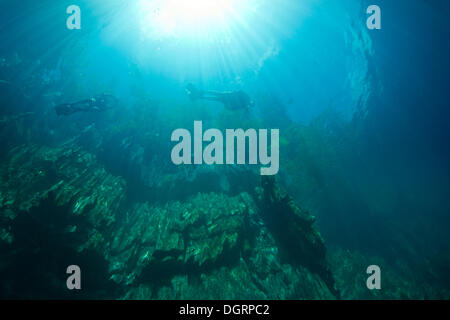 Le lac Barracuda, underwater, Bancuan, Naturschutzgebiet Coron, îles CALAMIAN, Palawan, Philippines, Mimaropa Banque D'Images