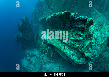 Le lac Barracuda, underwater, Bancuan, Naturschutzgebiet Coron, îles CALAMIAN, Palawan, Philippines, Mimaropa Banque D'Images