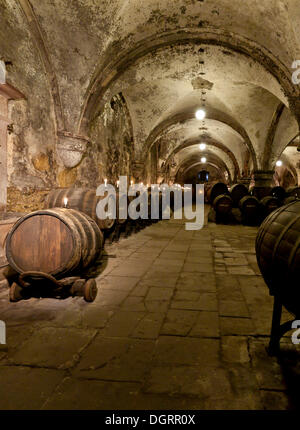 Cave à vin à l'abbaye de Kloster Eberbach, Eltville am Rhein, Rheingau, Hesse Banque D'Images