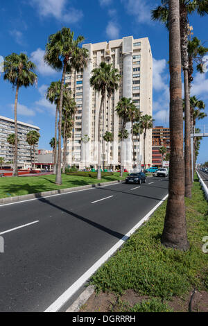 Avenida de las canarias, Las Palmas, Gran Canaria, Îles Canaries, Espagne, Europe, PublicGround Banque D'Images