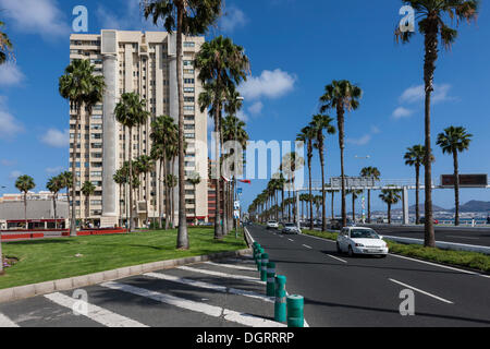 Avenida de las canarias, Las Palmas, Gran Canaria, Îles Canaries, Espagne, Europe, PublicGround Banque D'Images