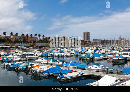 Vue de la marina sur l'Avenue de Canarias street, Las Palmas, Gran Canaria, Îles Canaries, Espagne, Europe, PublicGround Banque D'Images