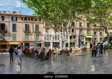 Terrasses de cafés sur la Plaça de Santa Eulalia Square, centre-ville historique, Palma de Majorque, Majorque, Îles Baléares, Espagne, Europe Banque D'Images