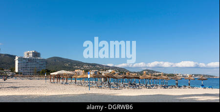 La section de plage près de Palma Nova et de chaises longues et d'hôtels, Palma Nova, Majorque, Îles Baléares, Espagne, Europe Banque D'Images