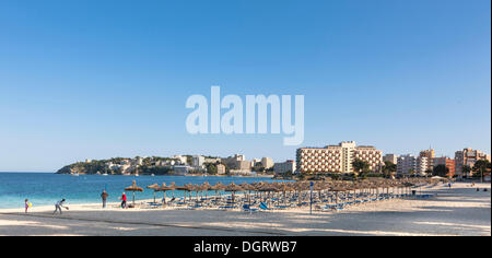 La section de plage près de Palma Nova et de chaises longues et d'hôtels, Palma Nova, Majorque, Îles Baléares, Espagne, Europe Banque D'Images