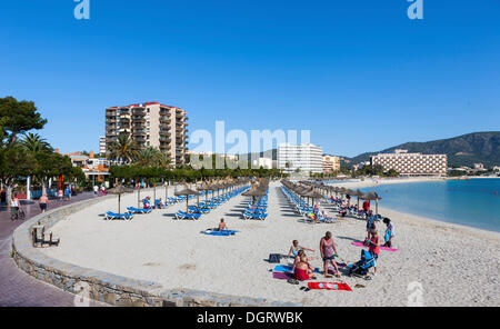 La section de plage près de Palma Nova et de chaises longues et d'hôtels, Palma Nova, Majorque, Îles Baléares, Espagne, Europe Banque D'Images