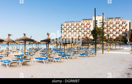 La section de plage près de Palma Nova et de chaises longues et d'hôtels, Palma Nova, Majorque, Îles Baléares, Espagne, Europe Banque D'Images