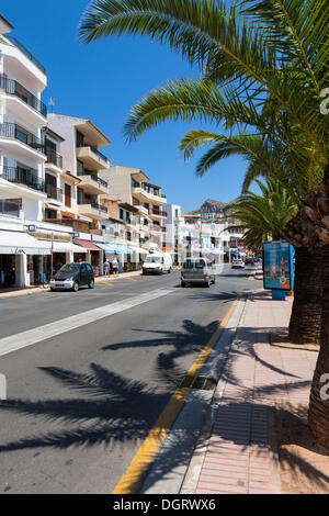 Promenade de la plage, l'avenue Passeig de Saralegui, Cala Sant Vicenç, Pollença, Port de Pollença, Majorque, Majorque, Iles Baléares Banque D'Images