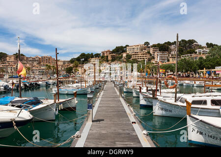 Bateaux de pêche dans le port de Port de Sóller, côte nord-ouest, Mallorca, Majorque, Îles Baléares, Méditerranée, Espagne Banque D'Images