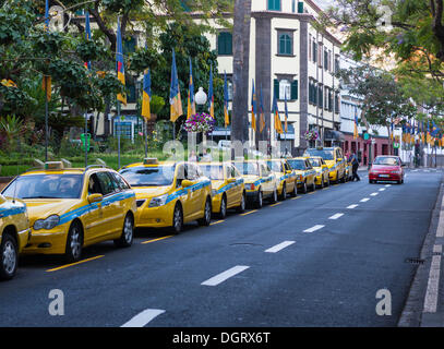 Des taxis qui attendent dans l'Avenida Arriaga dans le centre-ville historique de Funchal, Santa Luzia, Funchal, Madeira, Portugal Banque D'Images